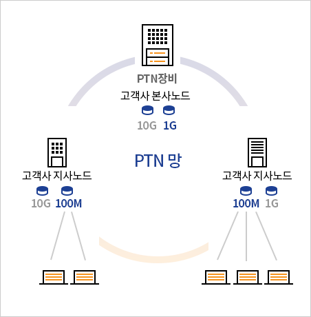 PTN 망 : PTN 장비 - 고객사 본사노드 10G 1G; 고객사 지사노드 10G 100M; 고객사 지사노드 100M 1G
